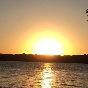 Meet your Posher, Cynthia